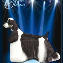 Cocker Spaniels from Sharon Gerling