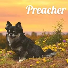 Preacher - Chihuahua