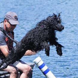 Portuguese Water Dogs from Whoosh Portuguese Water Dogs