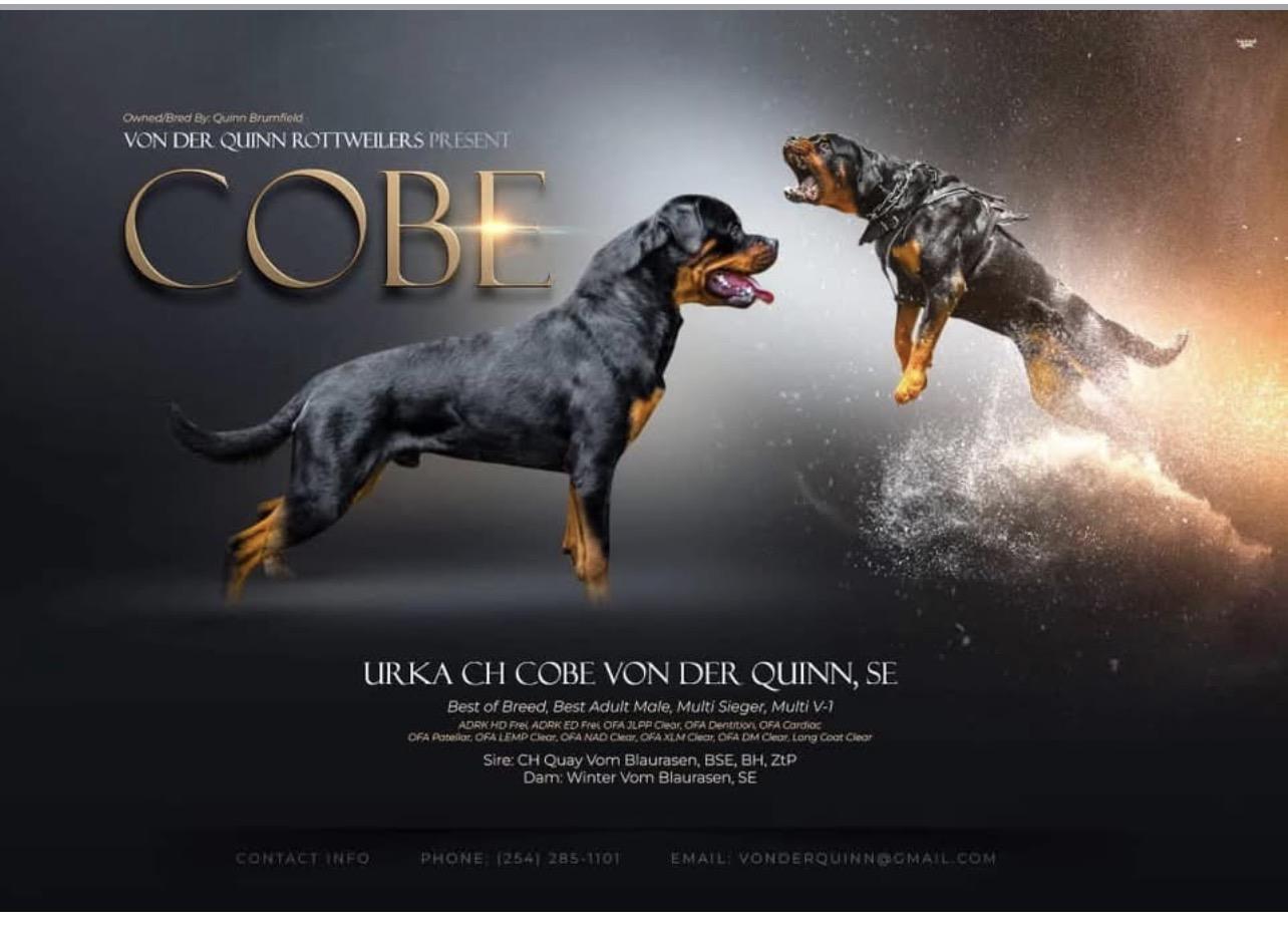 COBE