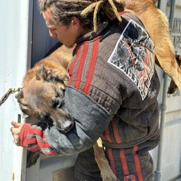 Belgian Malinois Puppies from ROSC K9