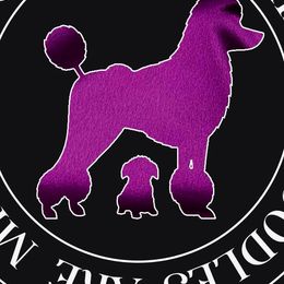 Poodles from Poodles Are Mixy