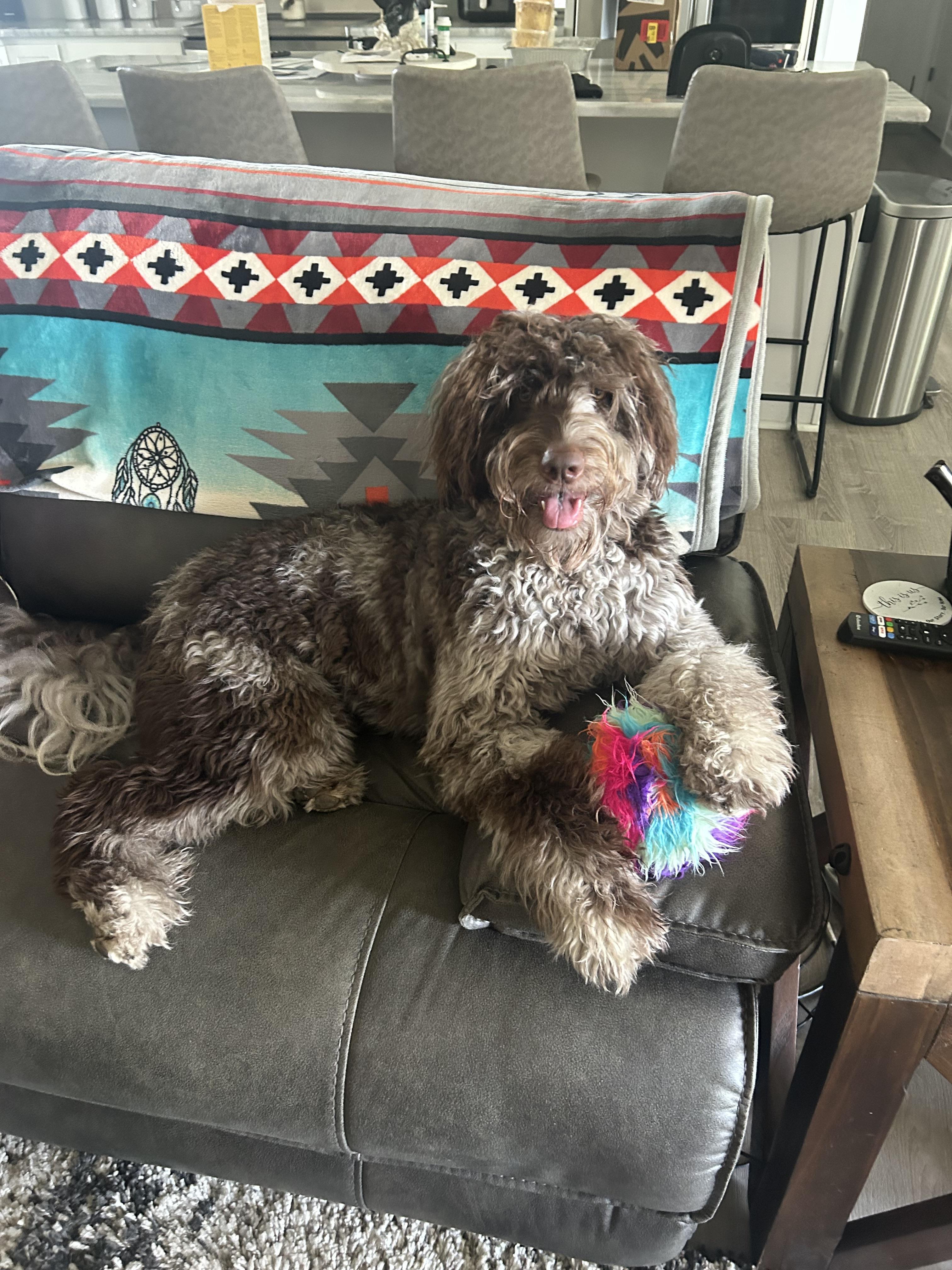 Coco