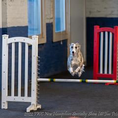 Windsprite All Grown Up from Propel Windsprites