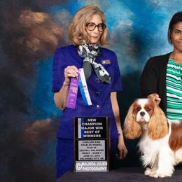 Cavalier King Charles Spaniels from Sheeba