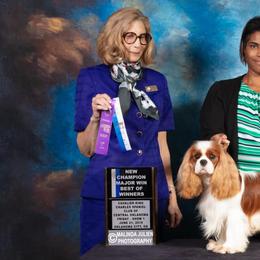 Cavalier King Charles Spaniels from Sheeba