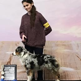Miniature Australian Shepherds from Wren’s Nest Farm