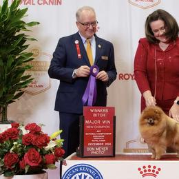 Pomeranians from VESPER POMERANIANS