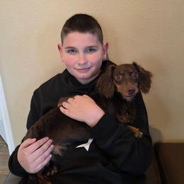 Letty - Dachshund
