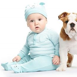 Bulldog Puppies from Our House Of Treasures