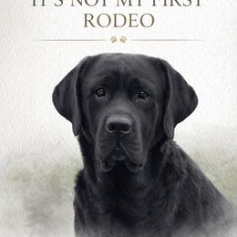Labrador Retrievers from Eastland Labradors