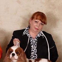 Cavalier King Charles Spaniels from Wellsworth CKCS