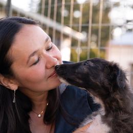 Silken Windhound Puppies from Luminous Silken Windhounds
