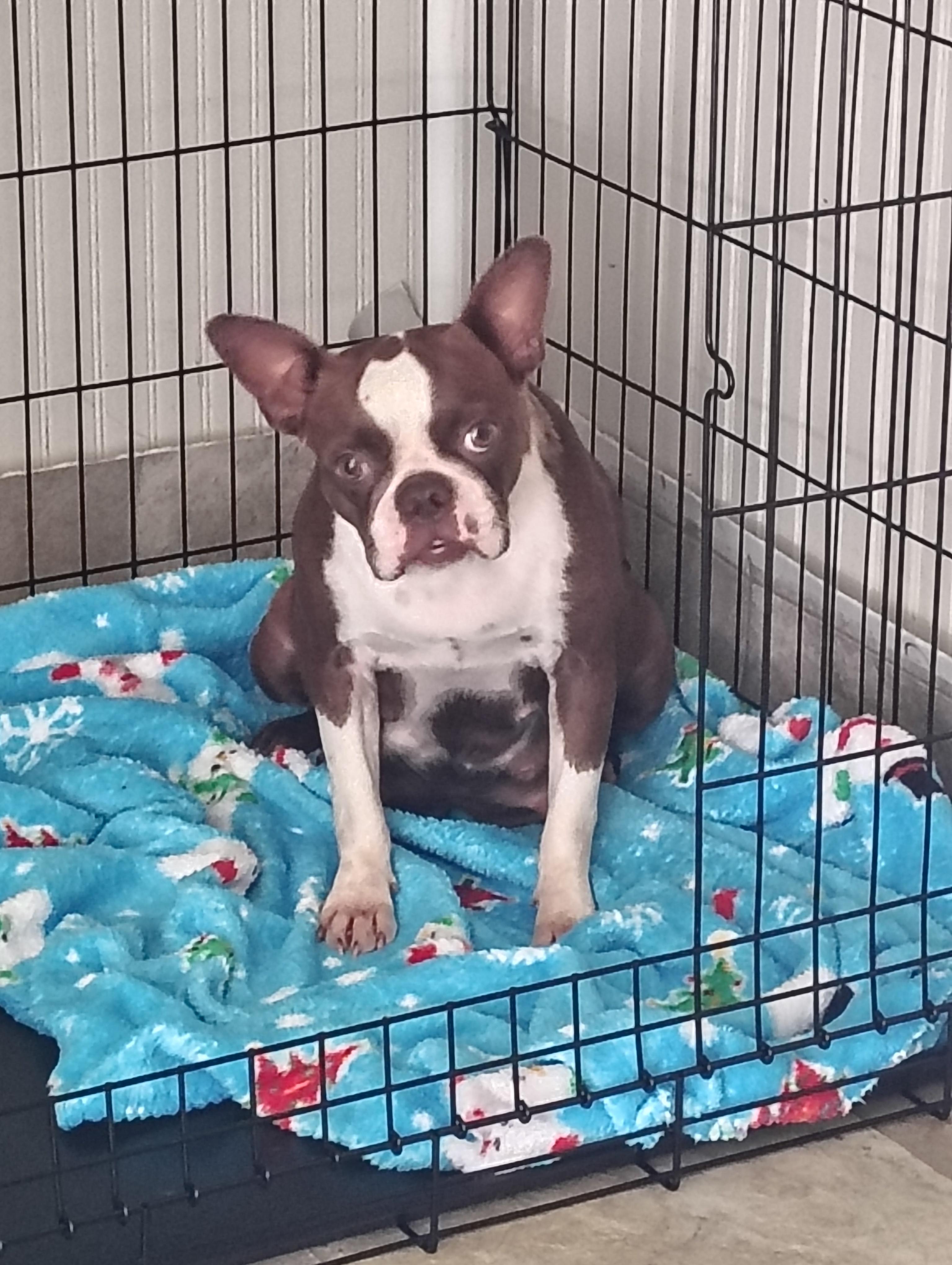 Millie