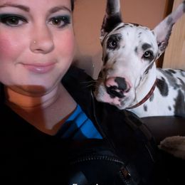 Diamond - Great Dane puppy from Follow My Lead Great Danes