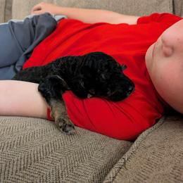 Ember - Black phantom female Aussiedoodle puppy in Yacolt, Washington from Aussiedoodles by Maggie