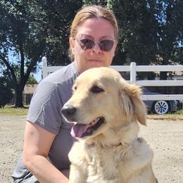 Golden Retrievers from Melanie's Ginger Golden Gingers