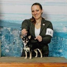 Riski - Chihuahua