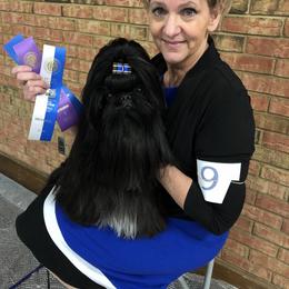 Kiefer - Shih Tzu