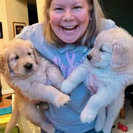 Golden Retriever Puppies from Sugarloaf Golden Retrievers (Formerly Vixena Golden Retrievers)