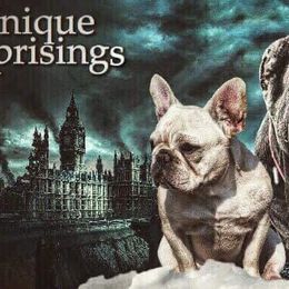 French Bulldogs and Neapolitan Mastiffs from Unique Uprisings