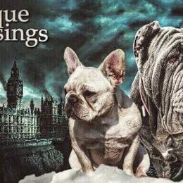 French Bulldogs and Neapolitan Mastiffs from Unique Uprisings