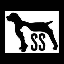 Girl 4 - Black and white female English Springer Spaniel puppy in Comer, Georgia from Stratton Spaniels