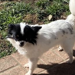 Em n Em - Chihuahua