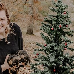 Dachshunds and Labrador Retrievers from Three Lakes Labs & WHDs