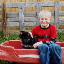 German Shepherd Puppies from Semper Fi K-9