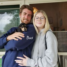 Dachshund Puppies from Doxie Lakes