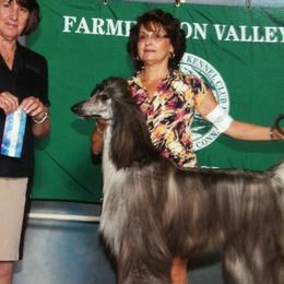 Afghan Hounds and Havanese from Dragonfly Kennels