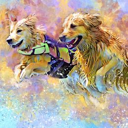 Golden Retrievers from DockRockin' Golden Retrievers