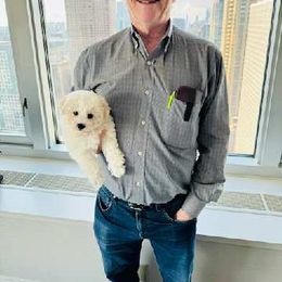 Bichon Frise Puppies from Blooming Bichons