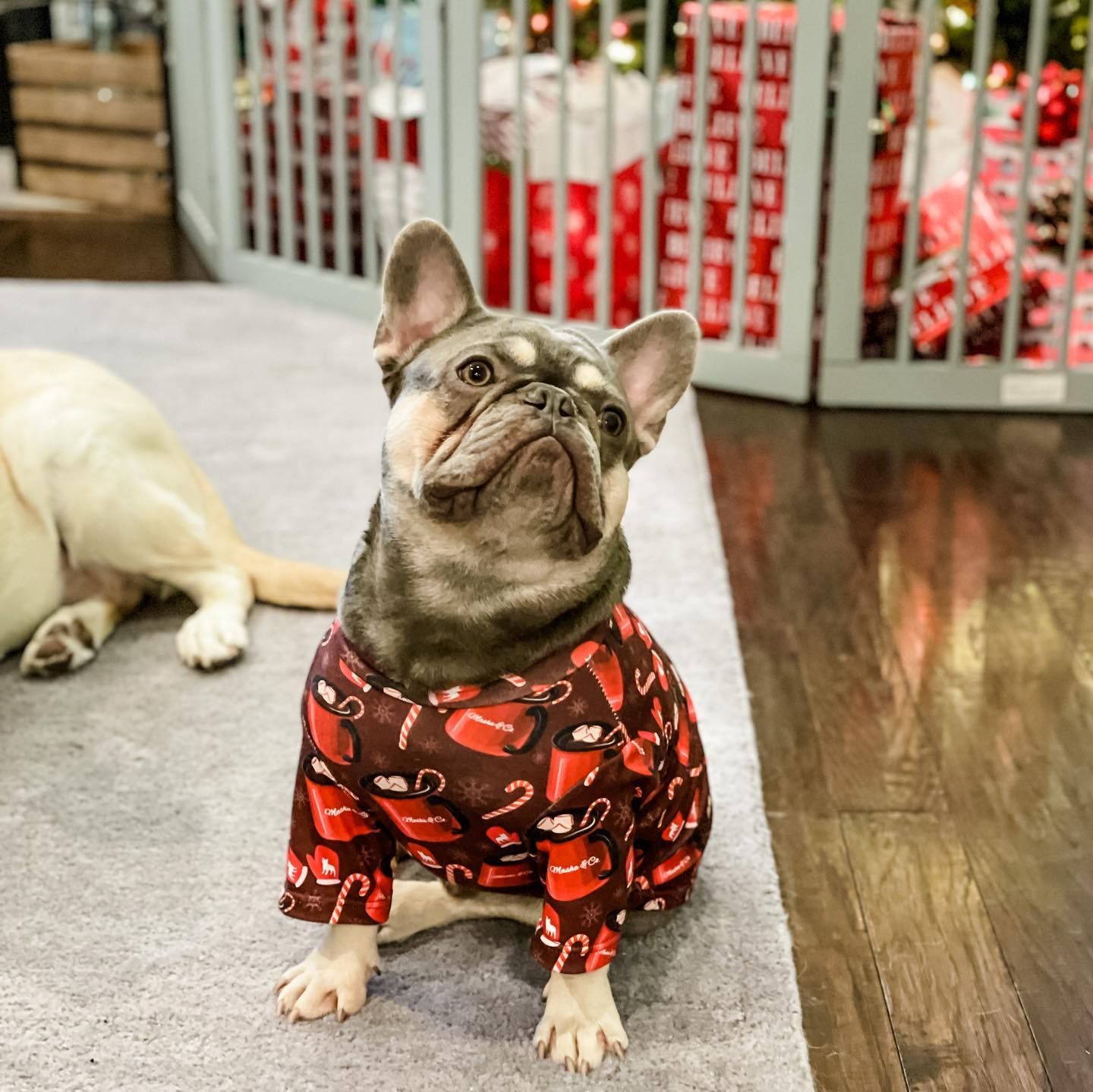 Supreme Lv Hoodie Dog