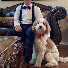 Australian Labradoodle, Double Doodle, Goldendoodle, and Labradoodle Puppies from Lake Mountain Doodle