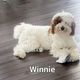 Winnie
