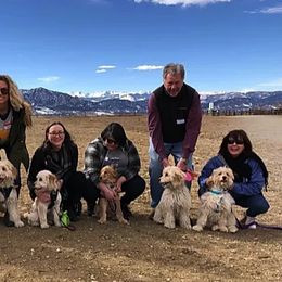 Goldendoodles and Golden Retrievers from Colorado Doodlebugs