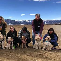 Goldendoodles and Golden Retrievers from Colorado Doodlebugs