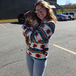 Australian Shepherd Puppies from Covenant View Farm Australian Shepherds
