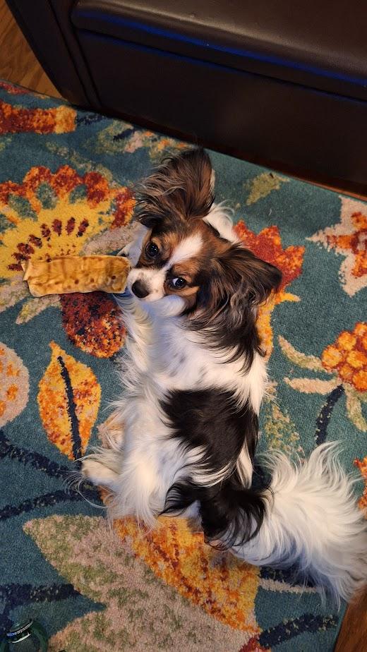 Lulu