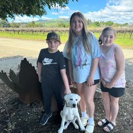 Magic older starter puppy Boy 1 - Yellow Labrador Retriever puppy in Live Oak, California from Blanco Labradors
