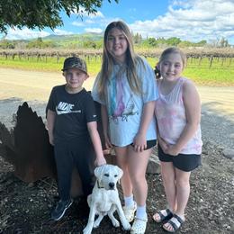 Magic older starter puppy Boy 1 - Yellow Labrador Retriever puppy in Live Oak, California from Blanco Labradors