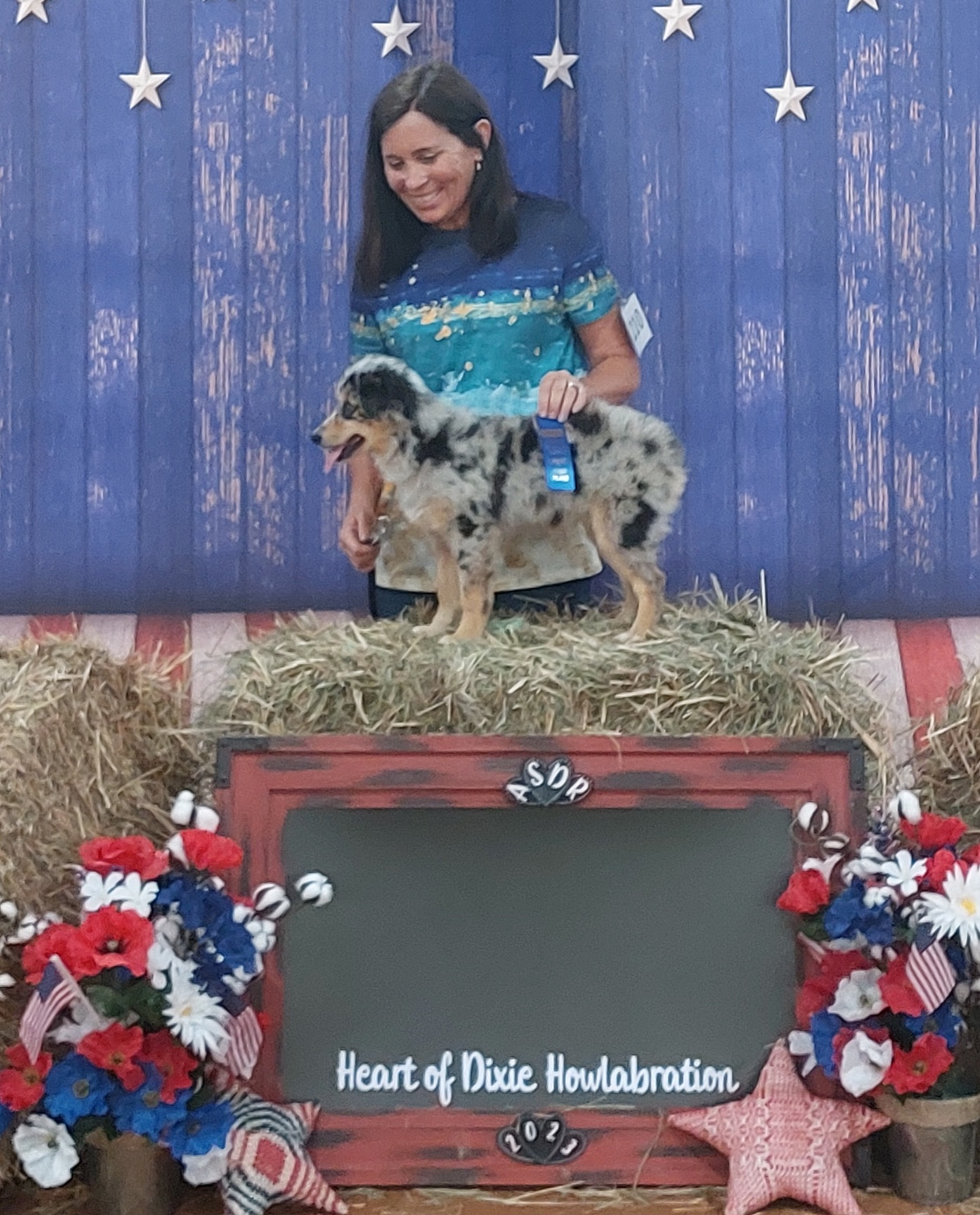 Razz - Miniature Australian Shepherd