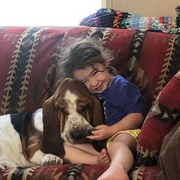 Basset Hound Puppies from Sage Acres