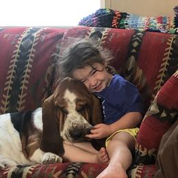 Basset Hound Puppies from Sage Acres