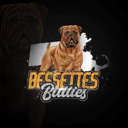 Sable - Red female Bullmastiff puppy in South Attleboro, Massachusetts from Bessettes Bullies