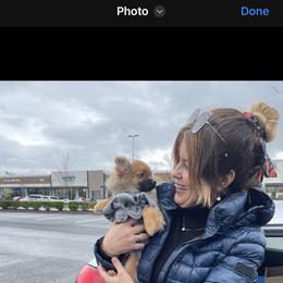 Pomeranian Puppies from Highlander Pomeranians