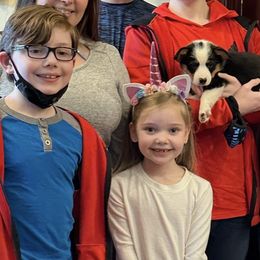 Pembroke Welsh Corgi Puppies from Corgi Love (CLJ Corgis)