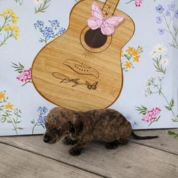Brindle - Brindle male Dachshund puppy in Ft Dodge, Iowa from Secret Reality